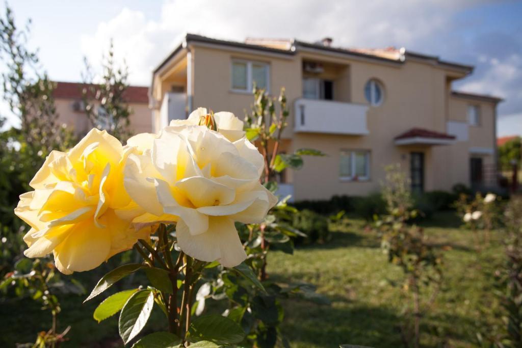 Apartments Emma Biograd Na Moru Luaran gambar
