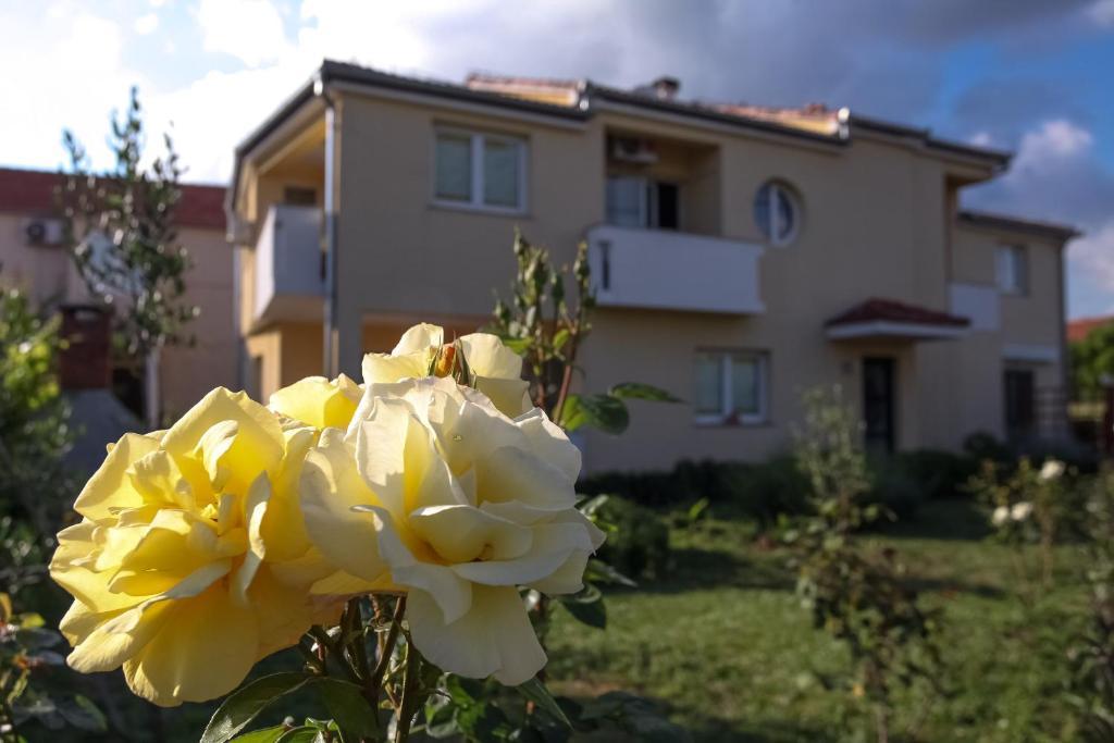 Apartments Emma Biograd Na Moru Luaran gambar